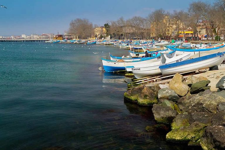 Лековита черноморска луга