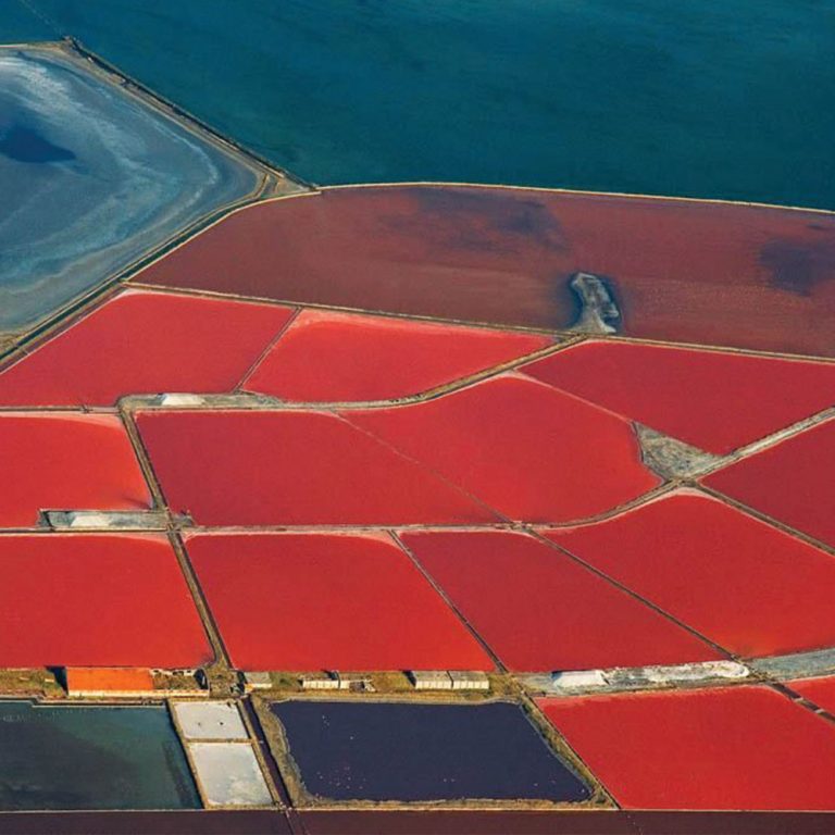 Черноморска луга