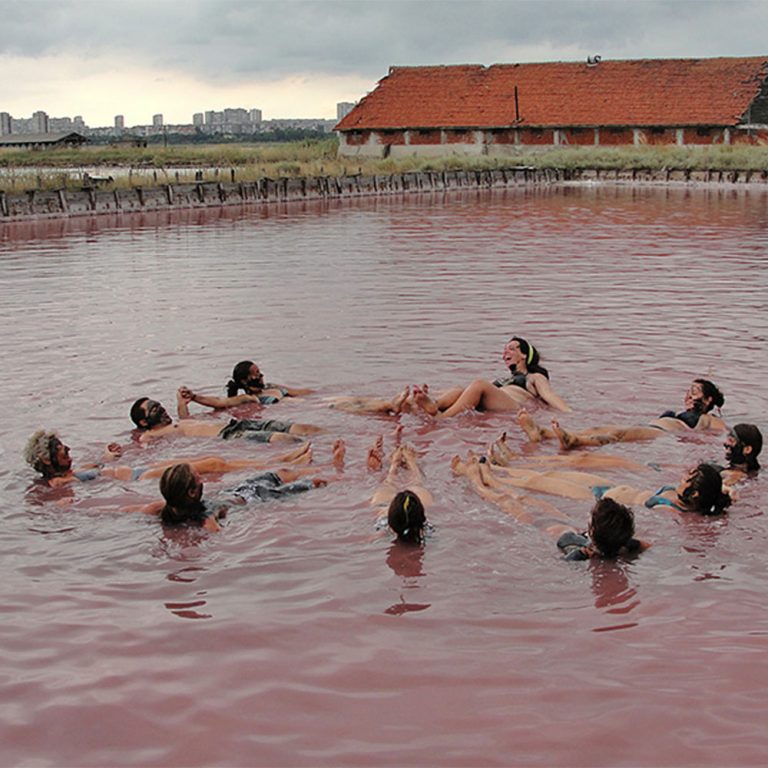 Поморийска луга ползи